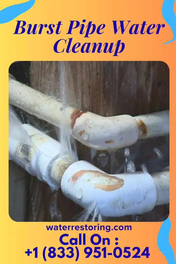 Burst Pipe Water Cleanup in Yorkville, OH