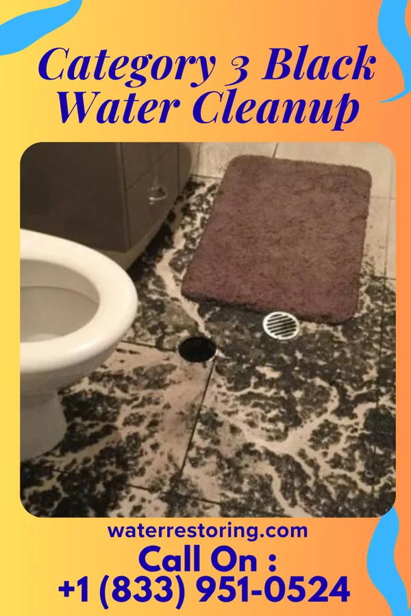 Category 3 Black Water Cleanup in Yorkville, OH