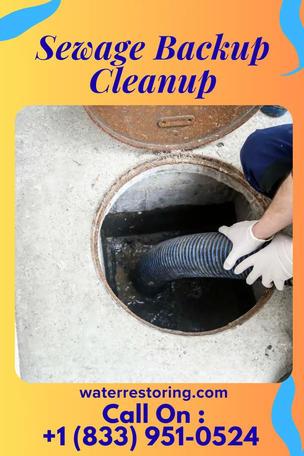 Sewage Backup Cleanup in Yorkville, OH