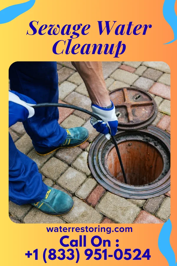 Sewage Water Cleanup in Yorkville, OH